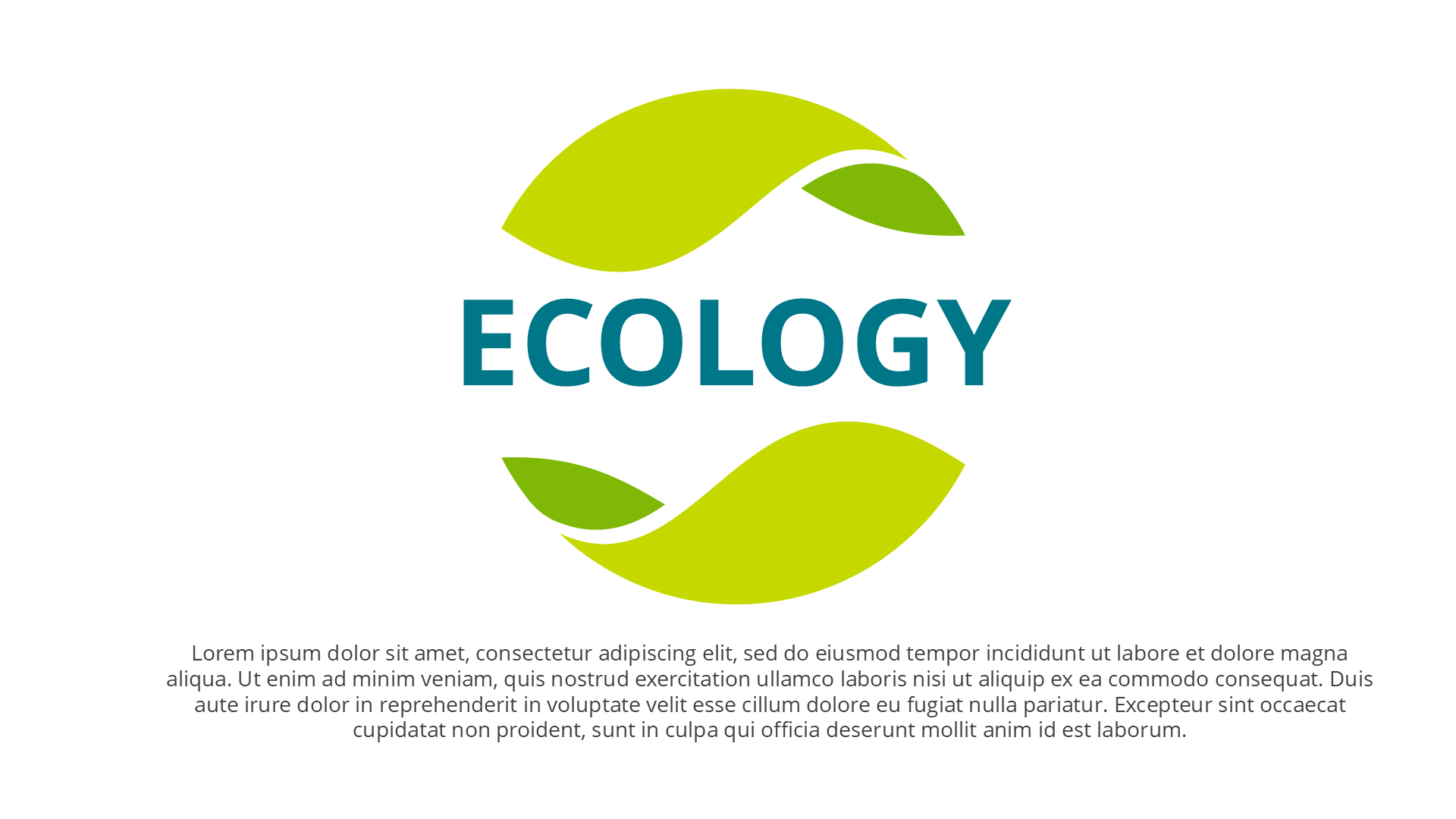 Ecology V1 Light slide 1